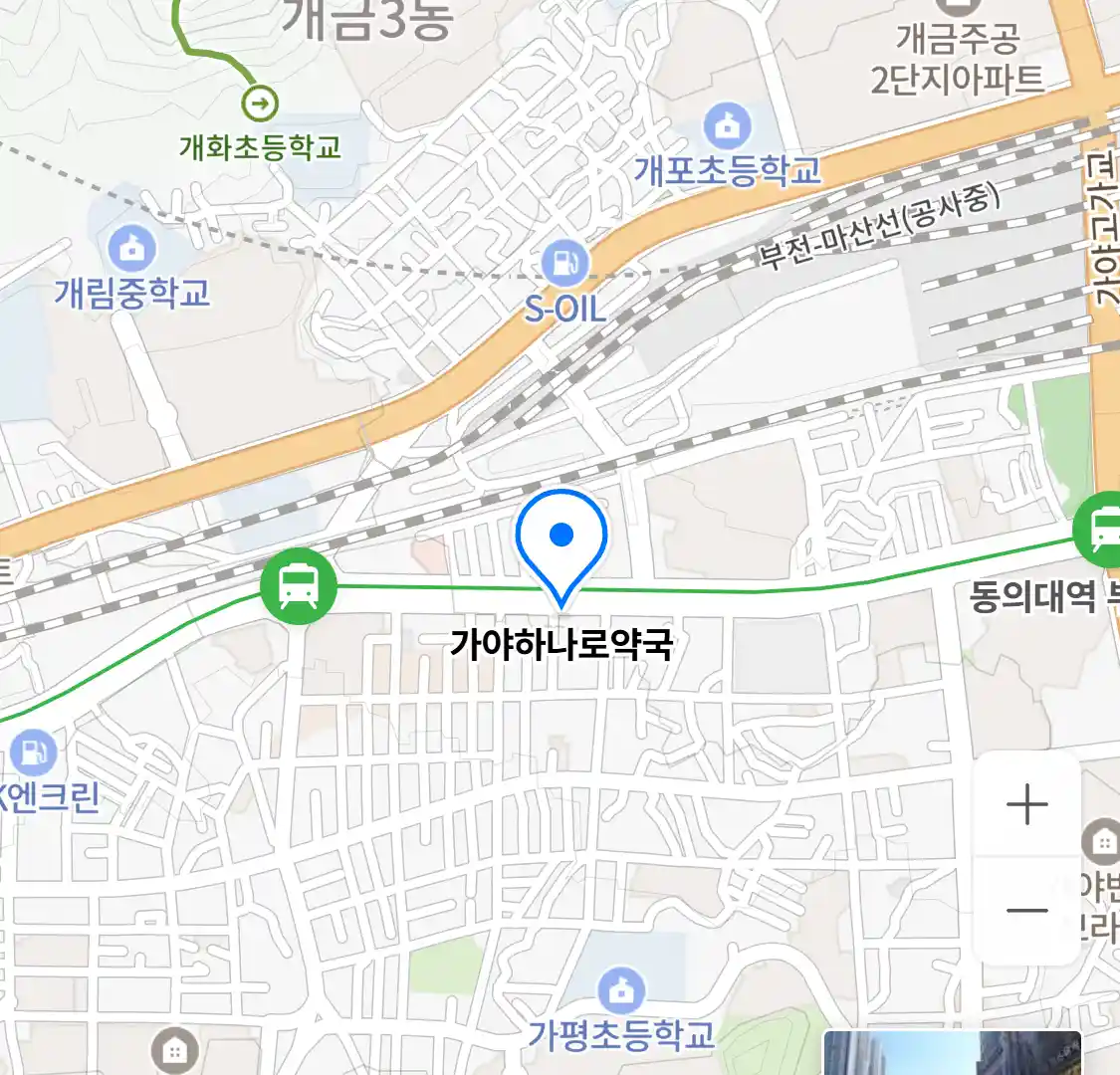가야하나로약국 위치