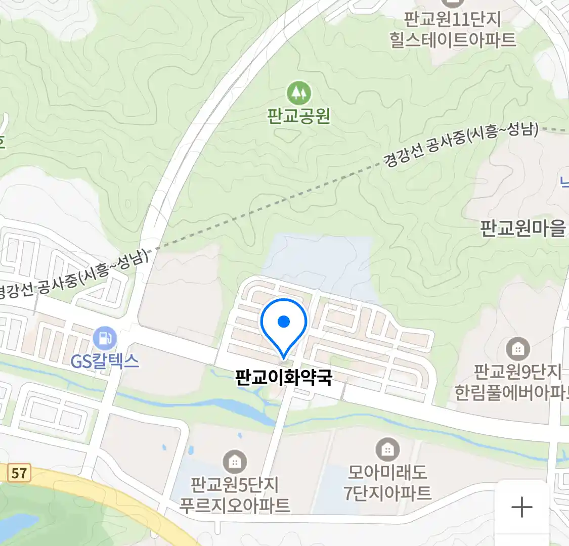 판교이화약국 위치