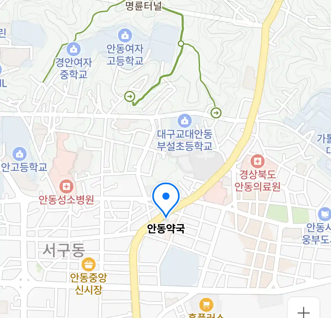 안동약국 위치