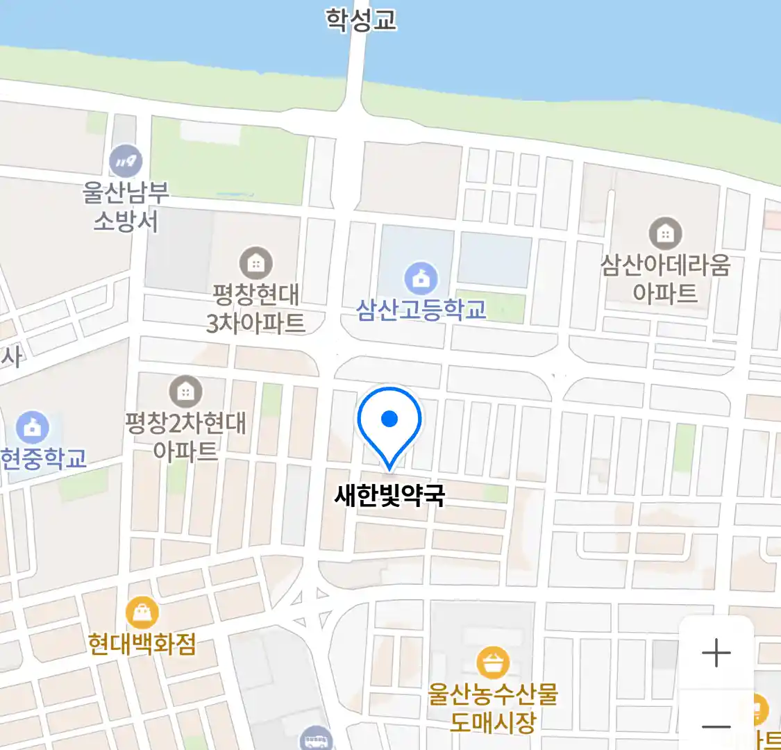 새한빛약국 위치