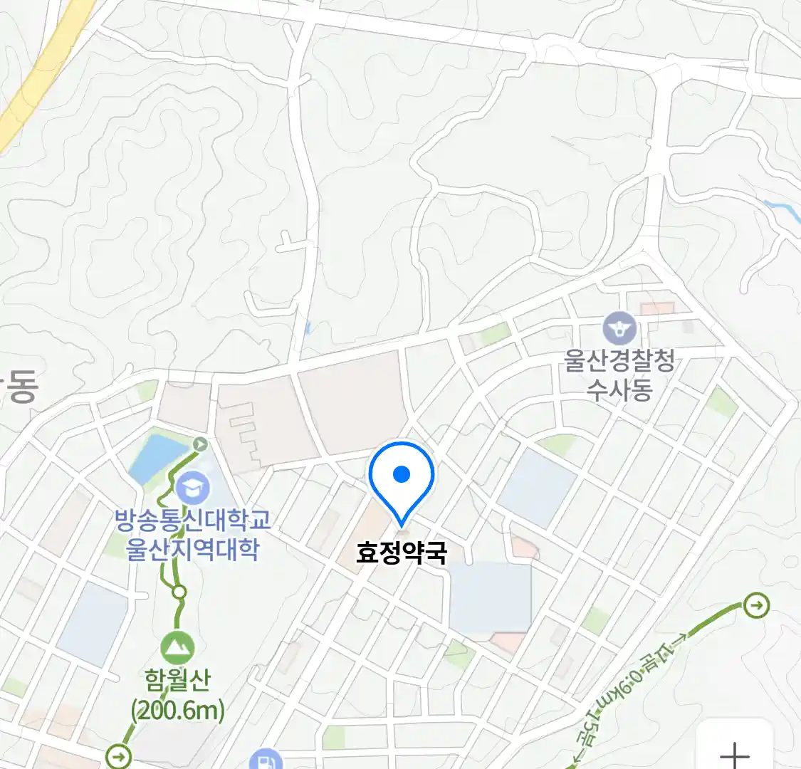 효정약국 위치