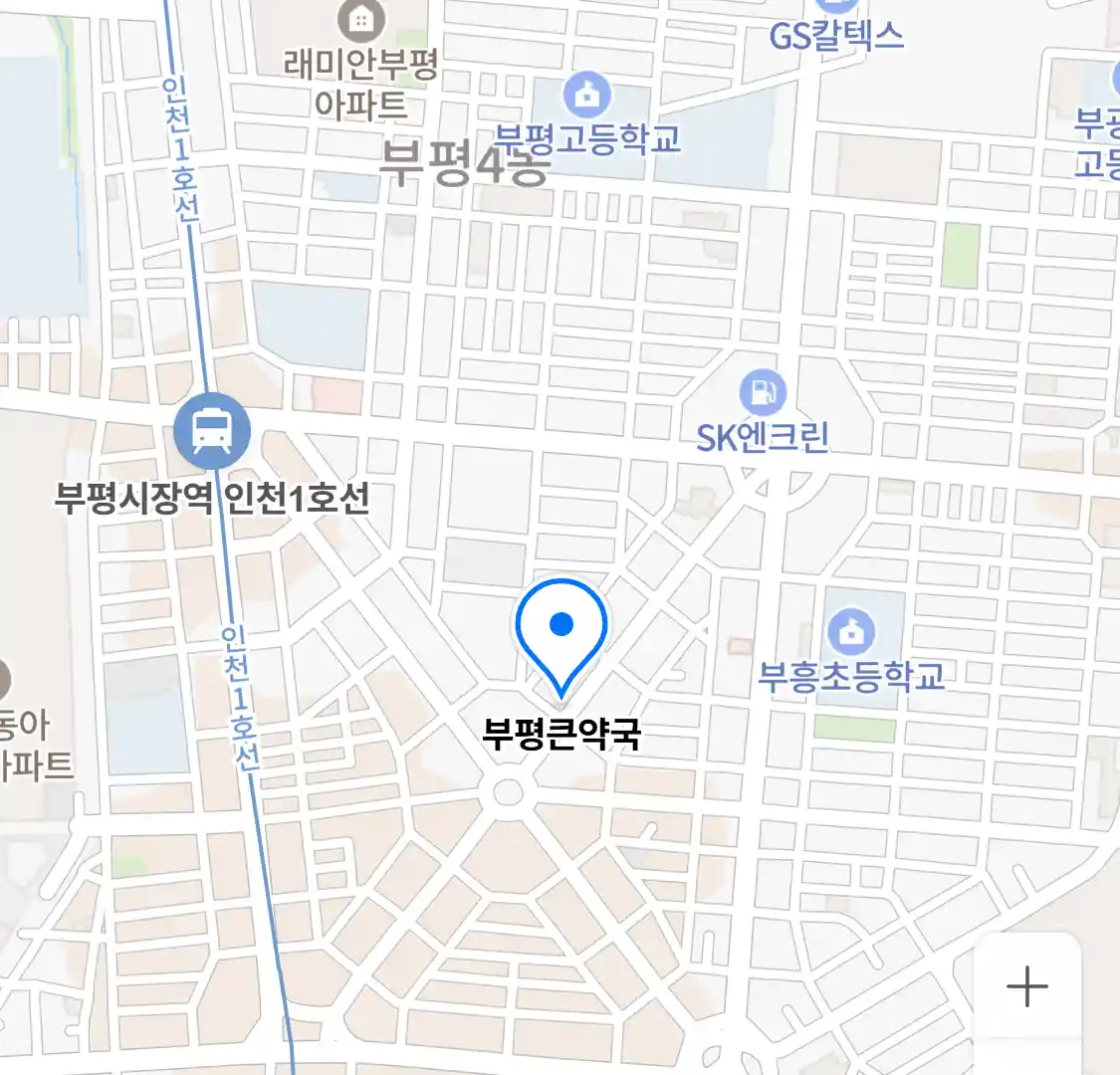 부평큰약국 위치