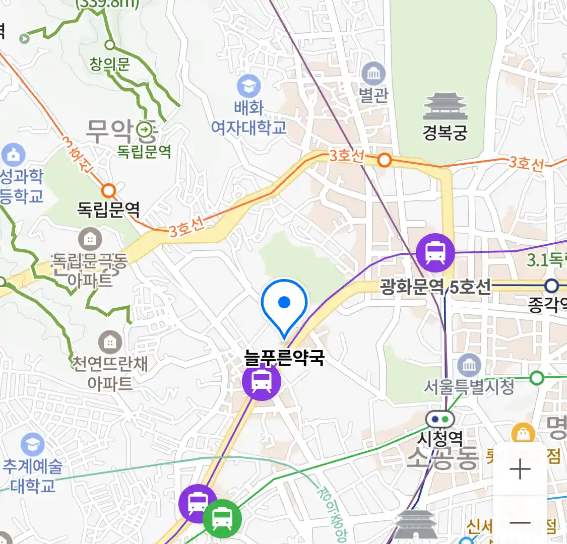 늘푸른약국 위치