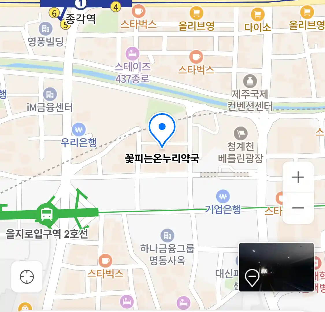 꽃피는온누리약국 위치