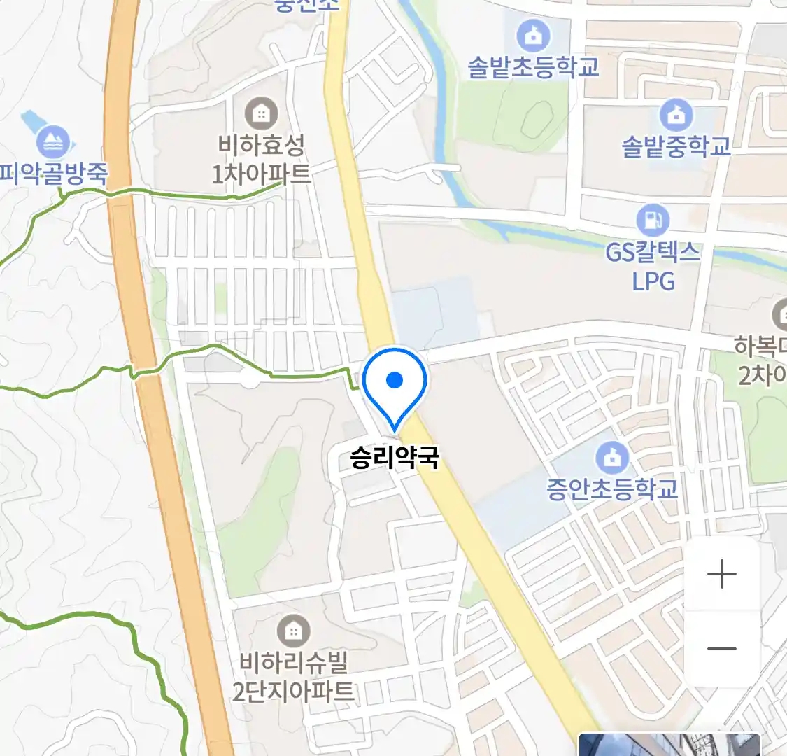승리약국 위치