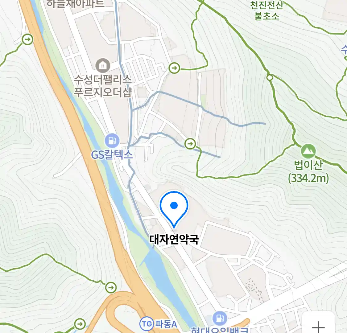 대자연약국 위치