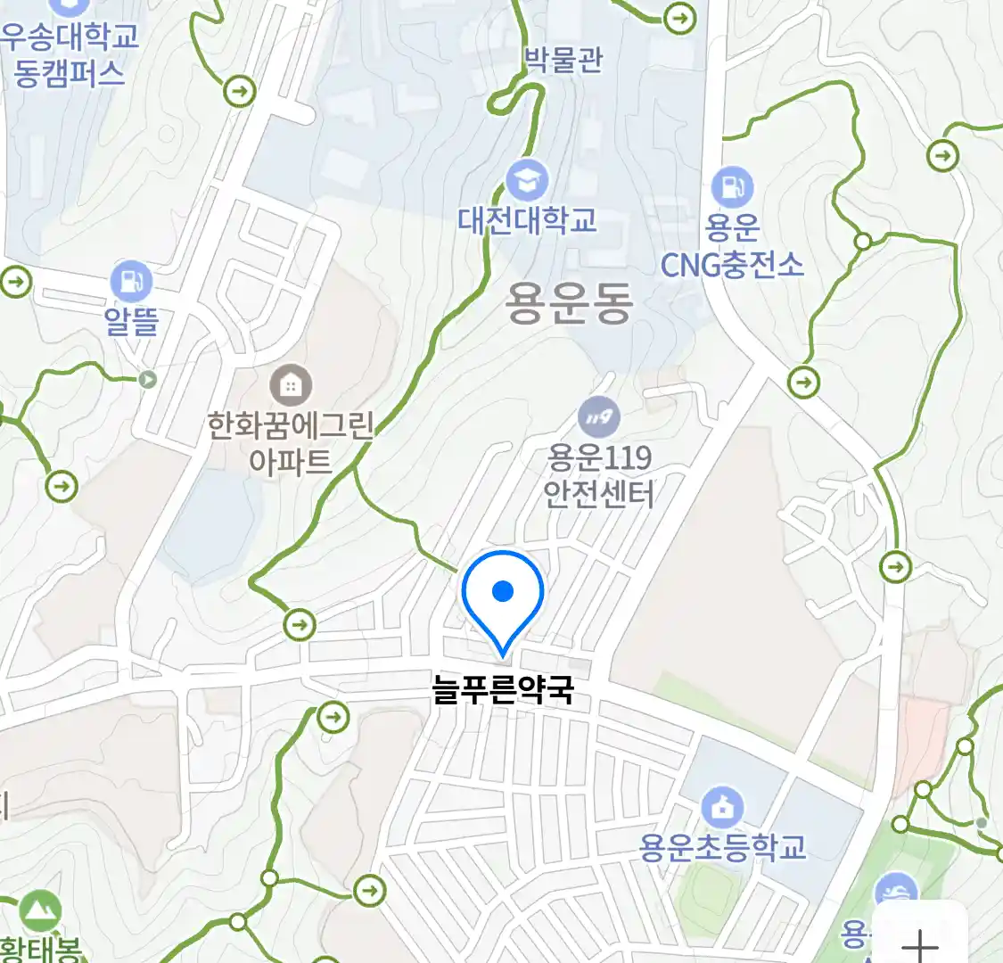 늘푸른약국 위치