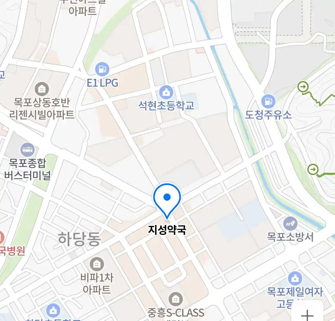 지성약국 위치