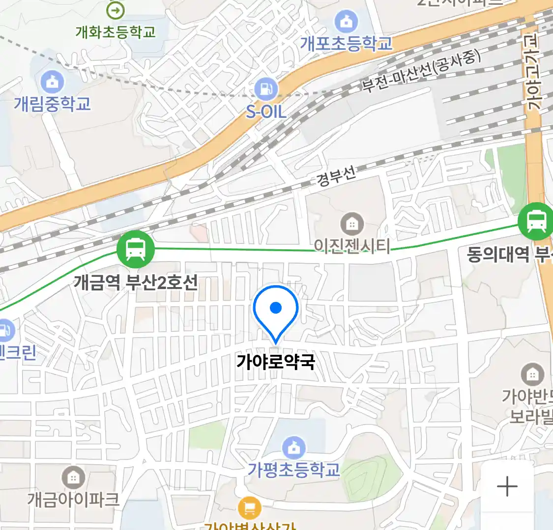 가야로약국 위치