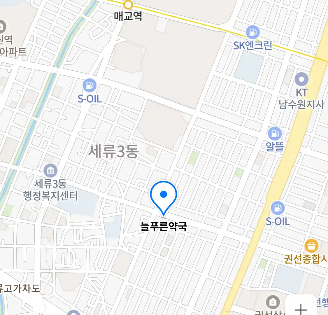 늘푸른약국 위치