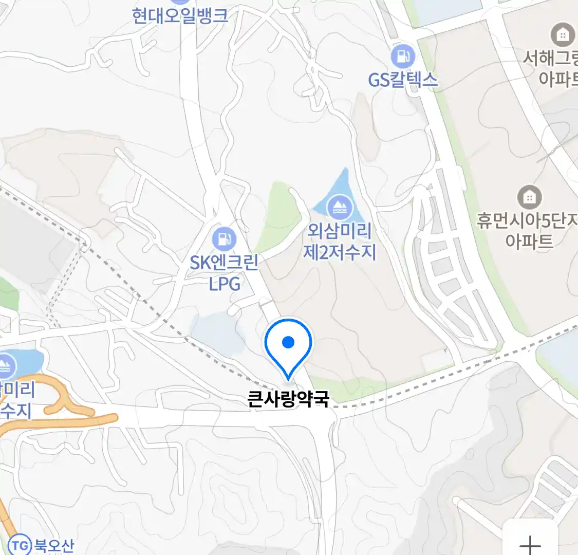 큰사랑약국 위치