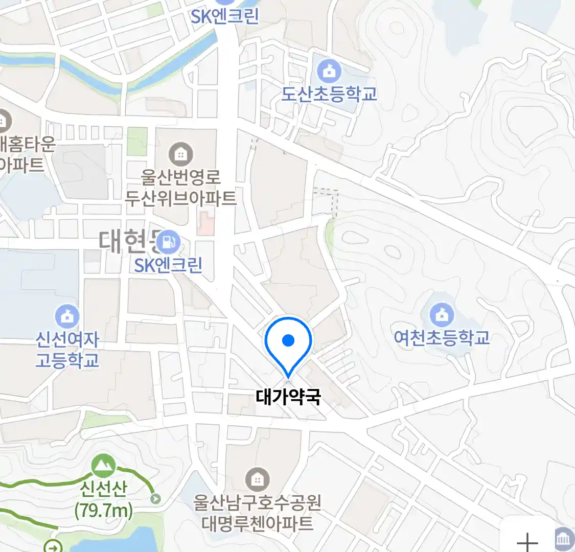 대가약국 위치