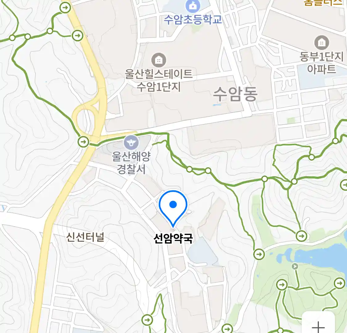 선암약국 위치