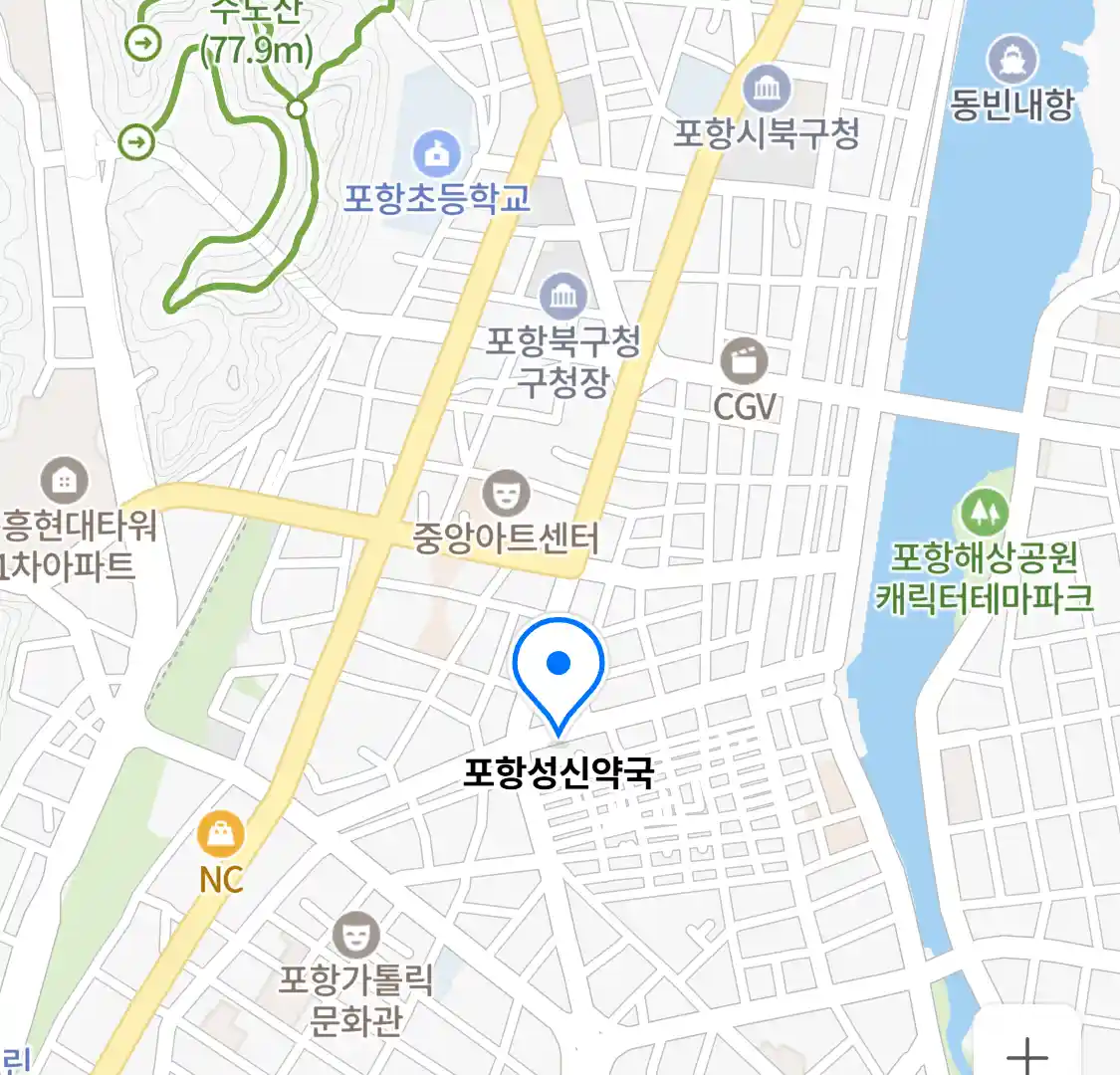 포항성신약국 위치