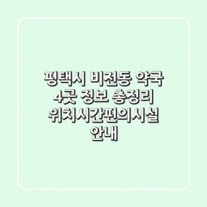 평택시 비전동 약국 4곳 정보 총정리 - 위치/시간/편의시설 안내