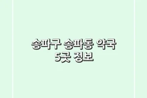 송파구 송파동 약국 5곳 정보