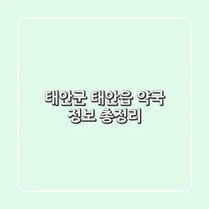 태안군 태안읍 약국 정보 총정리