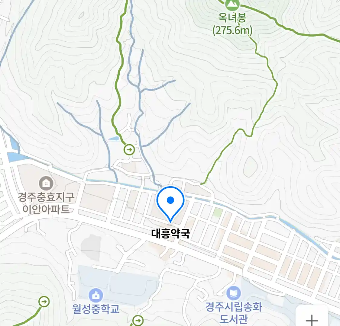 대흥약국 위치