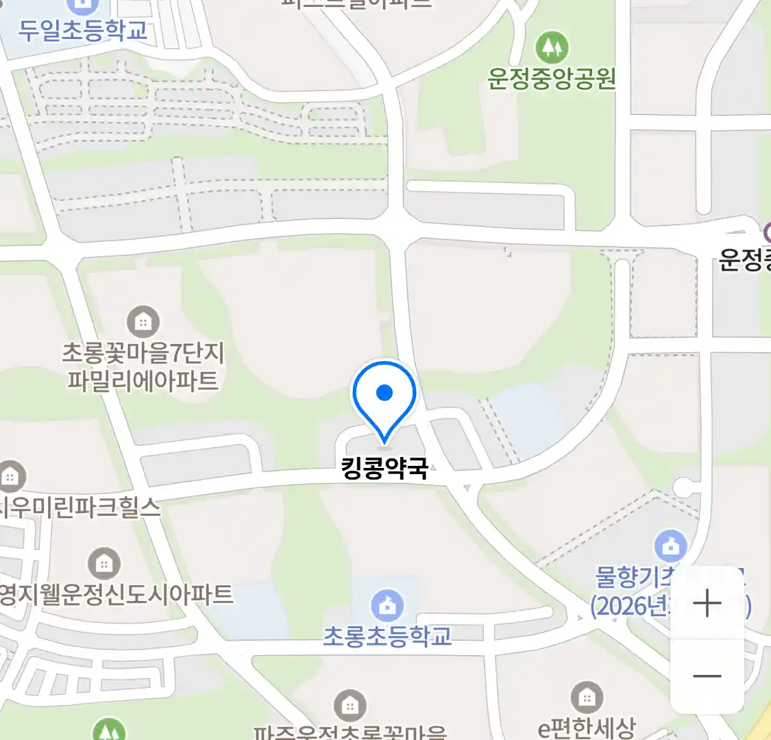 킹콩약국 위치