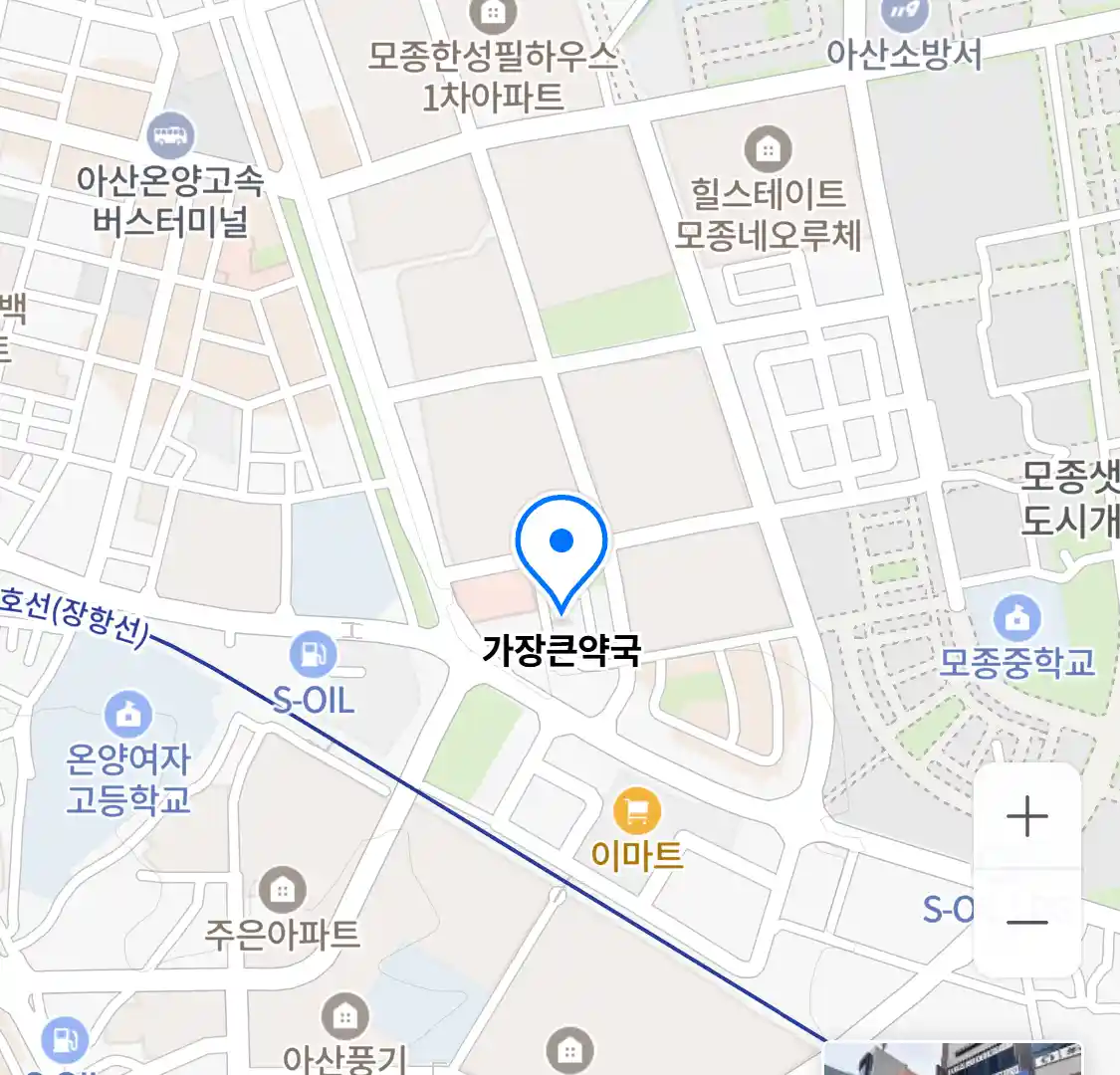 가장큰약국 위치