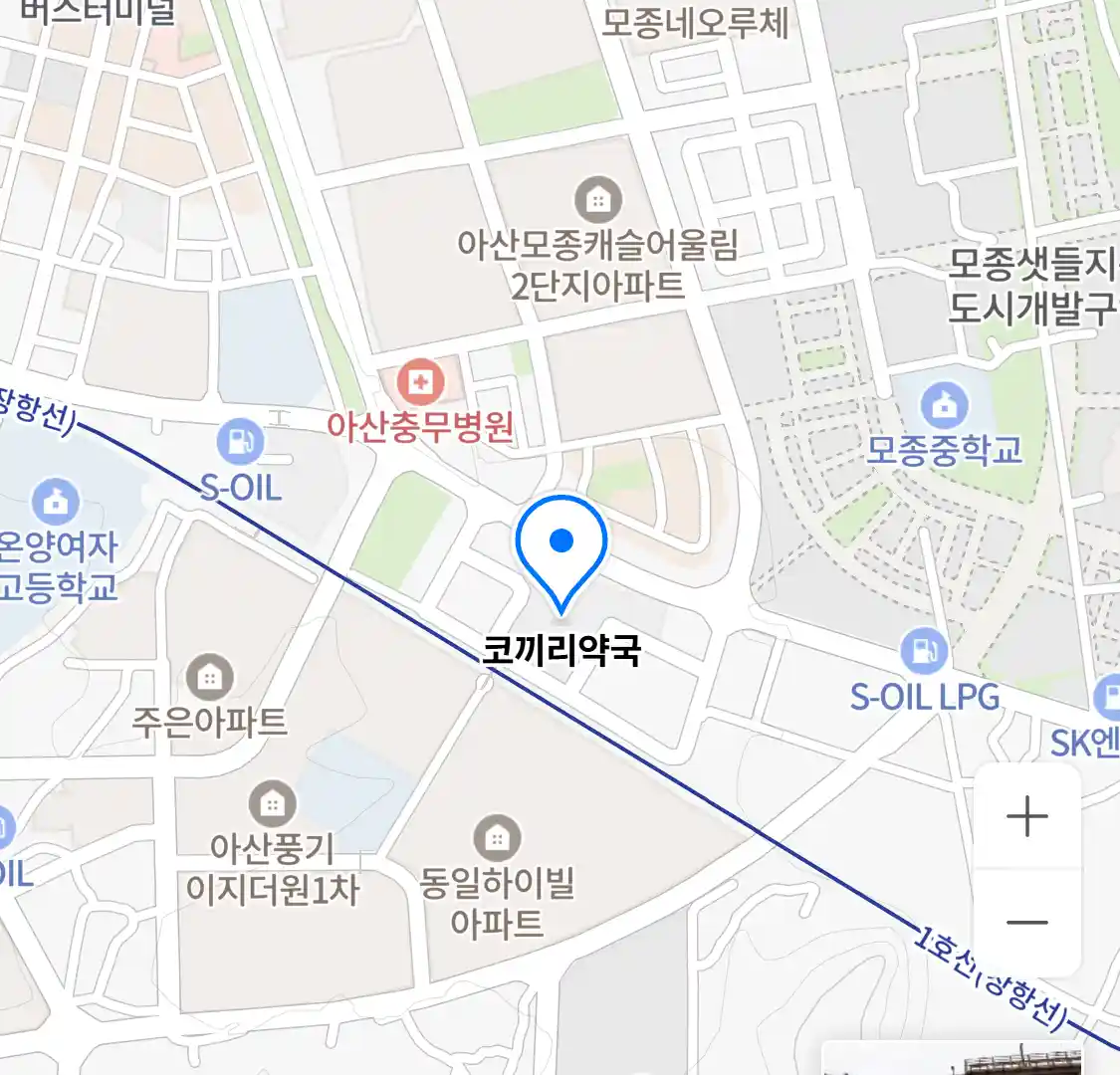 코끼리약국 위치