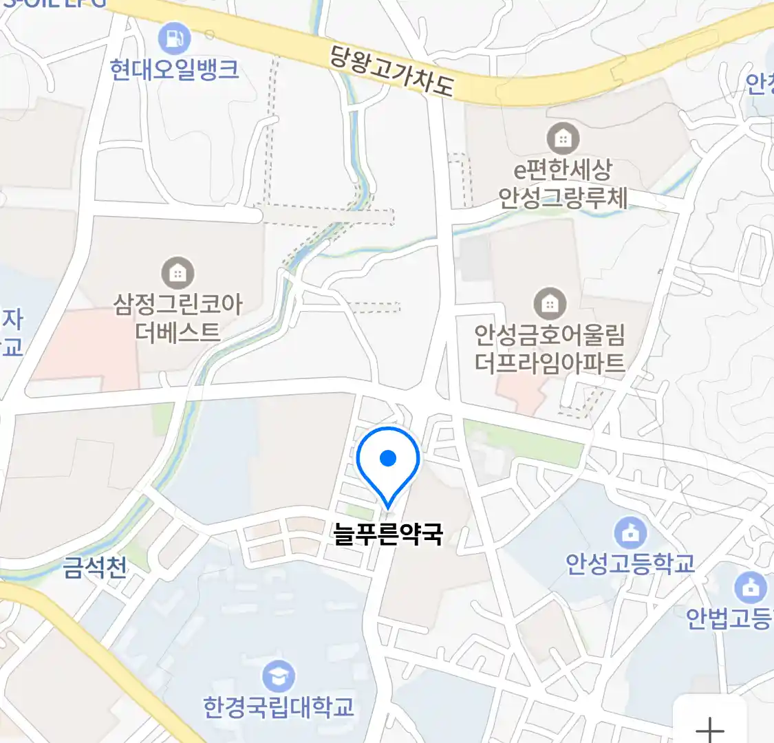 늘푸른약국 위치