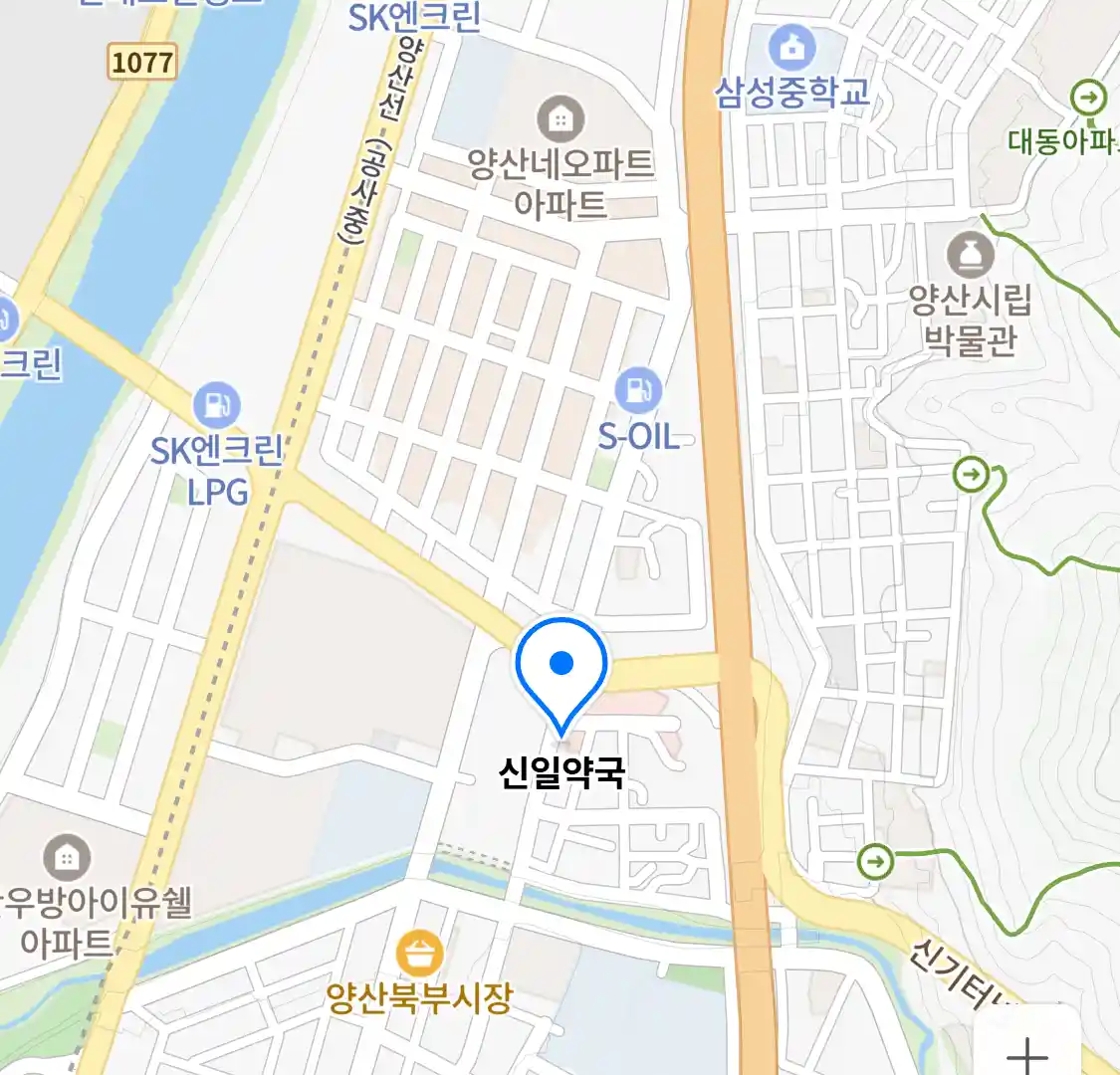 신일약국 위치