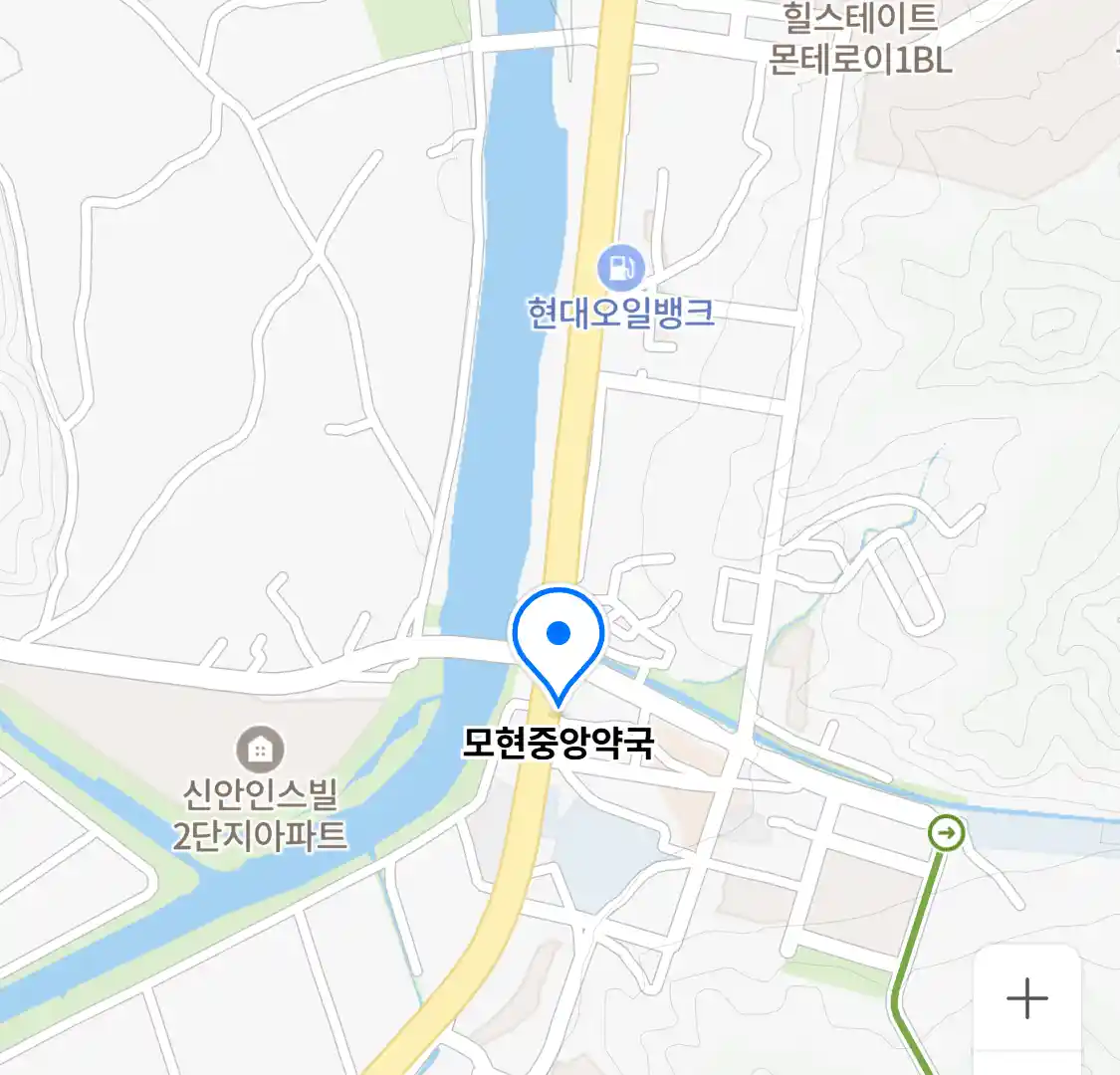 모현중앙약국 위치