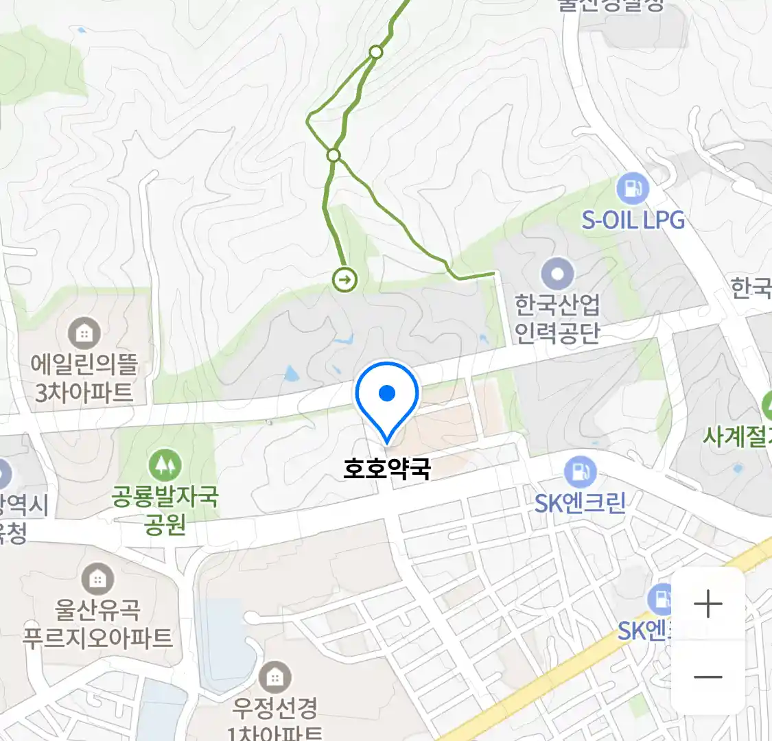 호호약국 위치