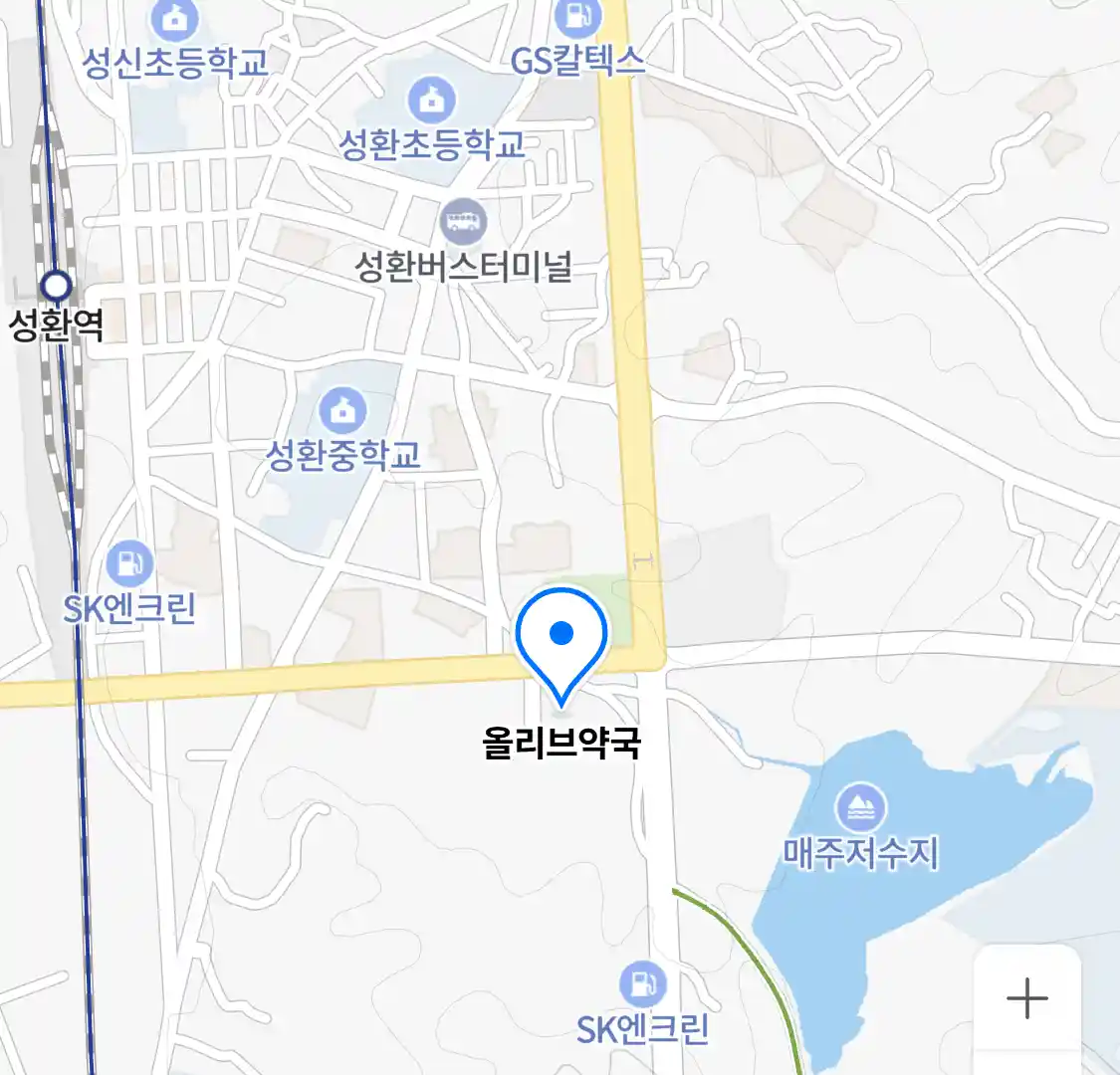 올리브약국 위치