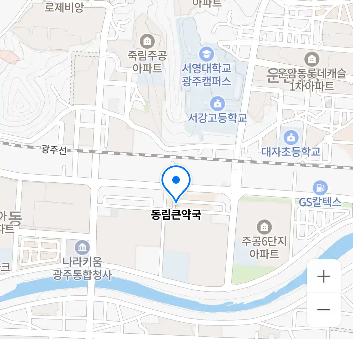 동림큰약국 위치