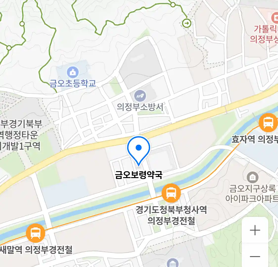 금오보령약국 위치