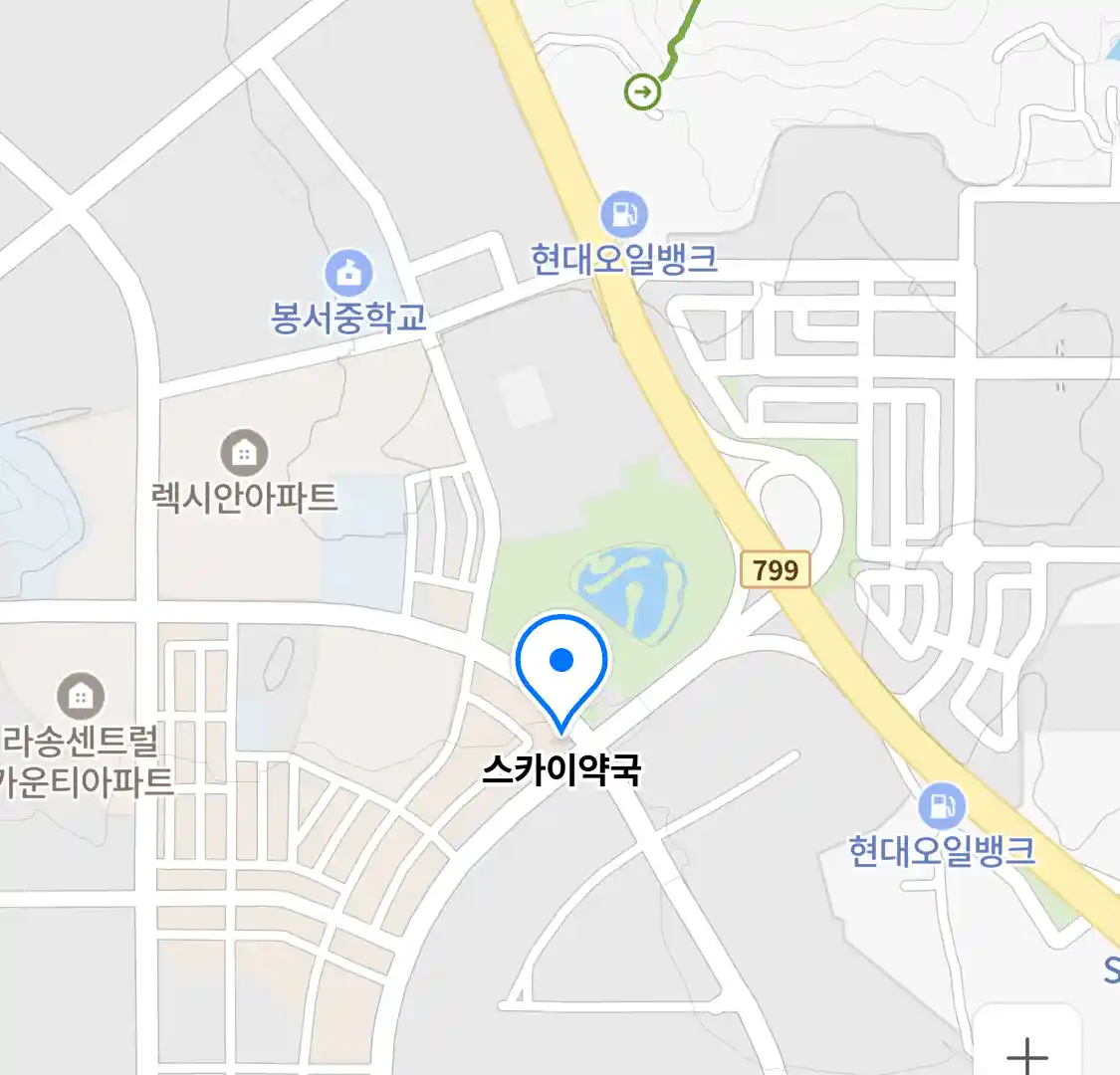 스카이약국 위치