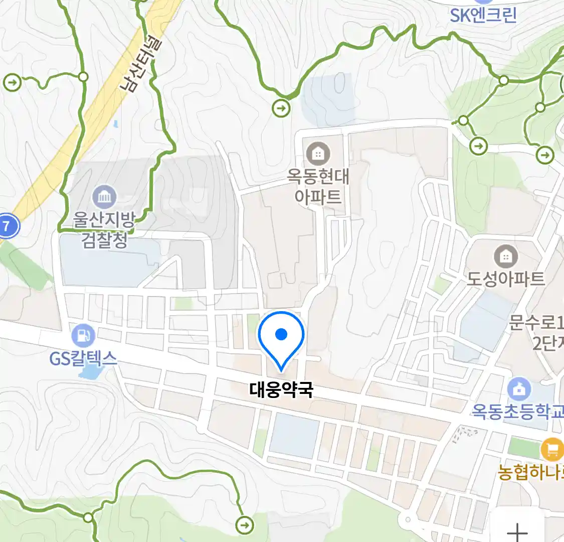 대웅약국 위치
