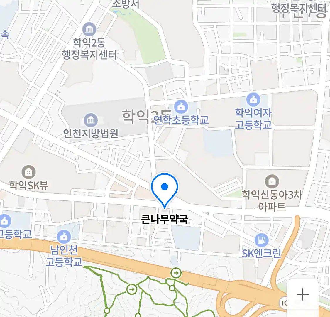 큰나무약국 위치