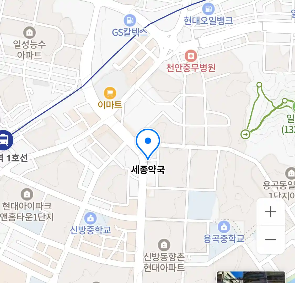 세종약국 위치